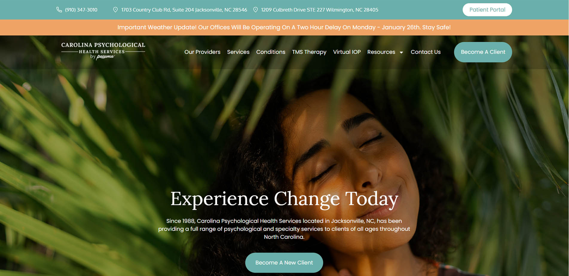 Web Design Sample 38