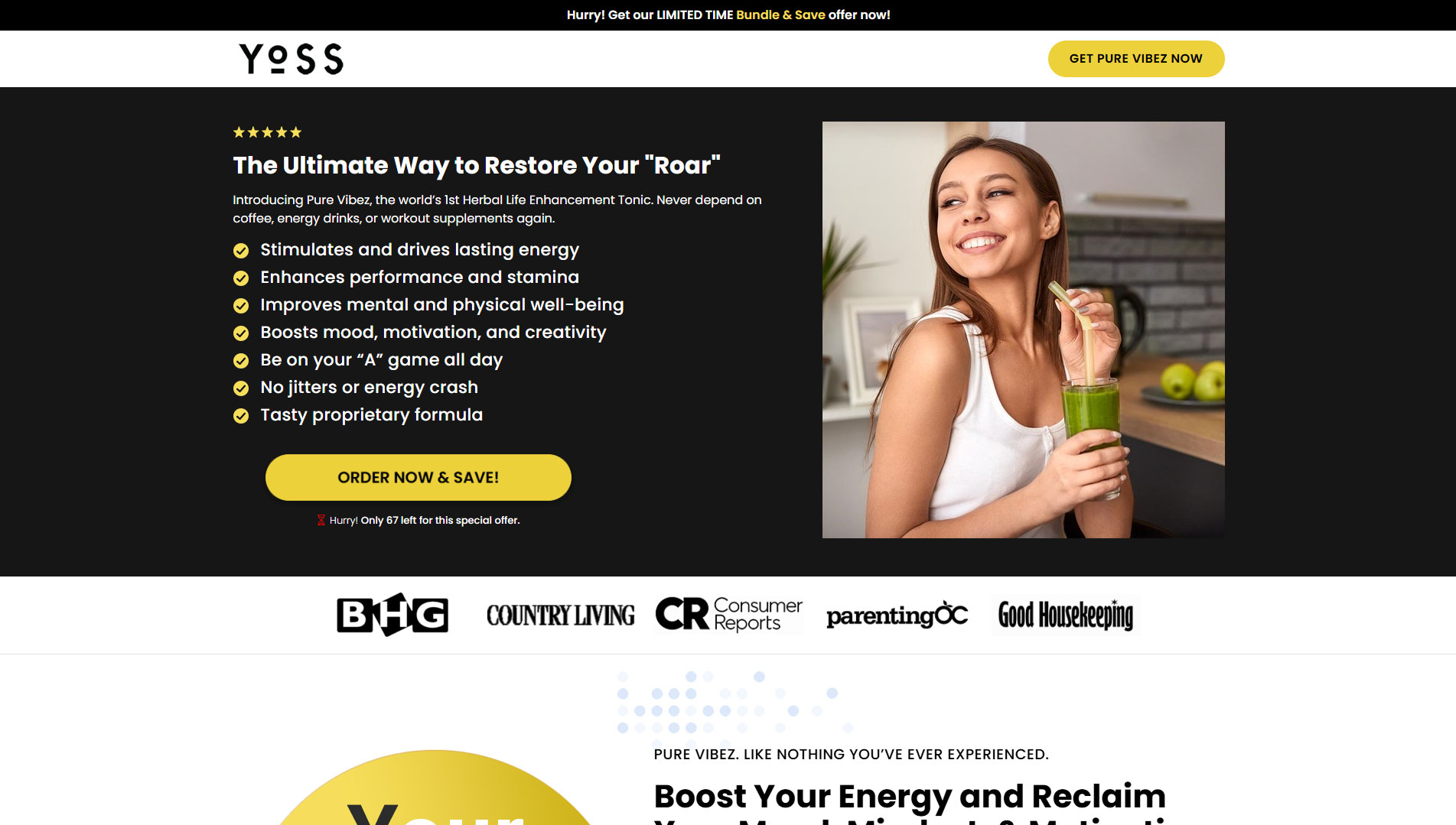 Web Design Sample 8